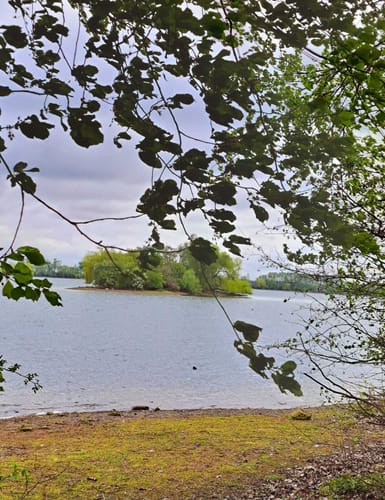 Rund um den Zülpicher See