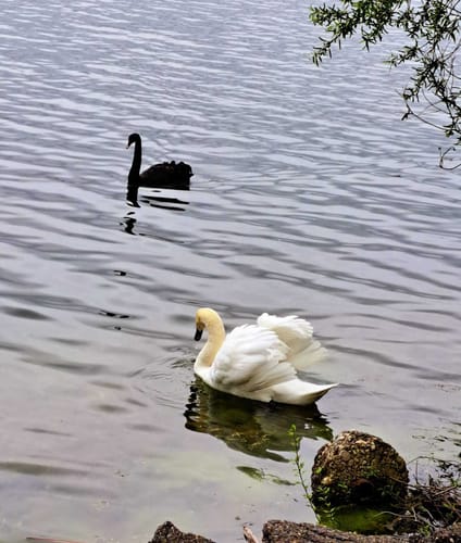 Rund um den Zülpicher See