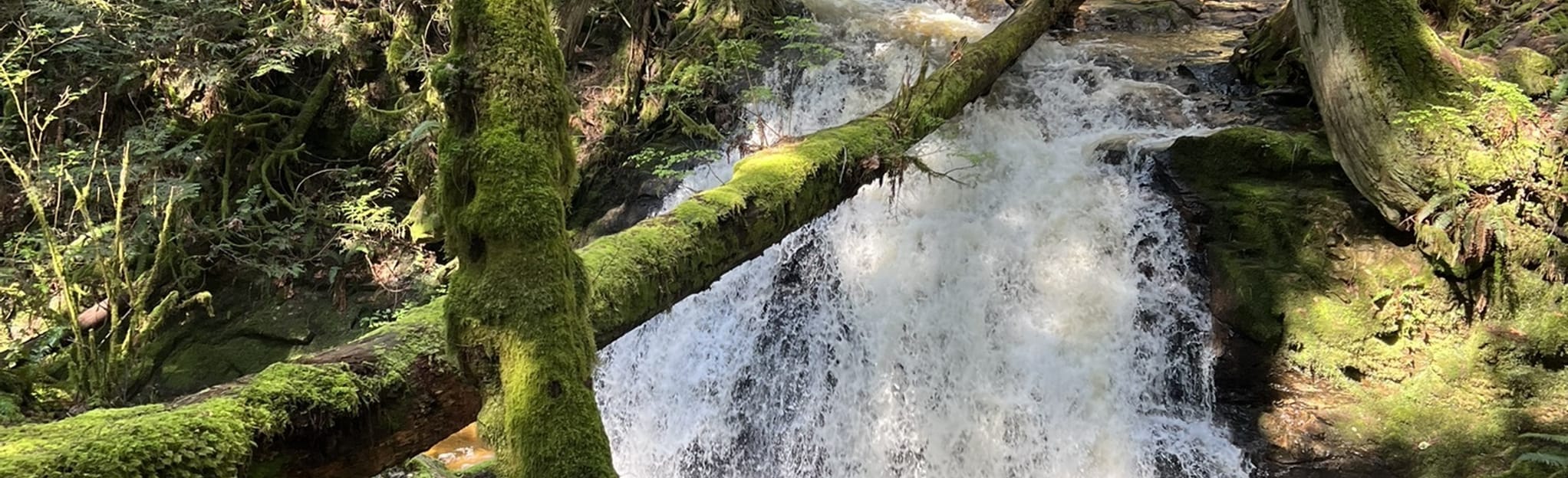 Roberts Creek via Wicked Ditches, British Columbia, Canada 37 Reviews