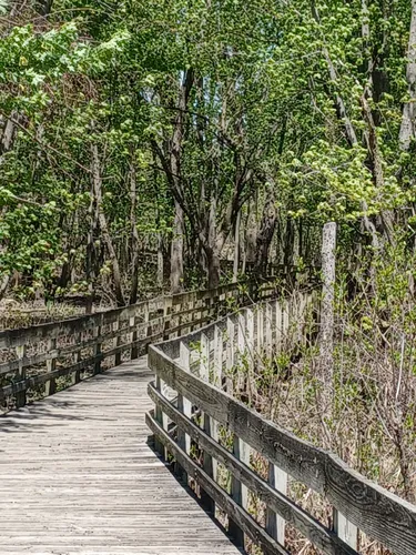 2023 Best River Trails in East Peoria | AllTrails