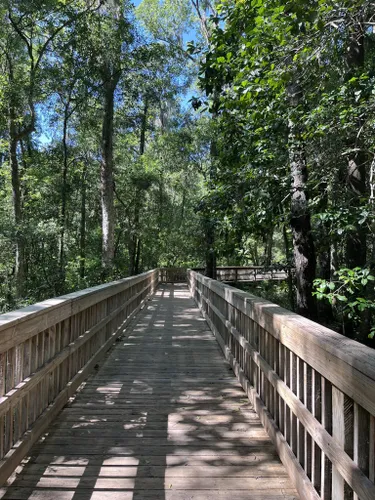 Best Hikes and Trails in Alpine Groves Park | AllTrails