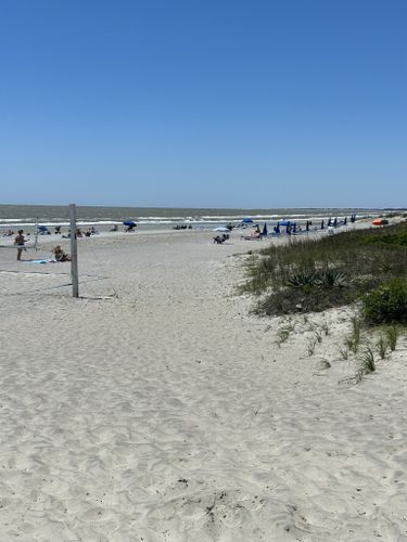 Best Hikes and Trails in Folly Beach | AllTrails