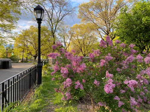 Riverside Walk, New York - 115 Reviews, Map | AllTrails