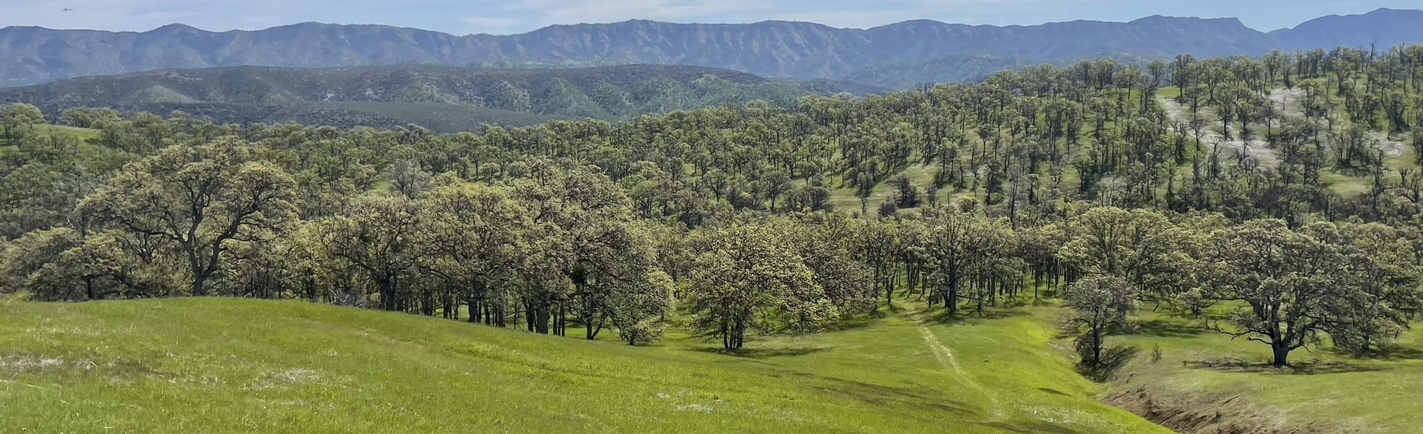 Cache Creek Wilderness Trail, California 26 Reviews, Map AllTrails