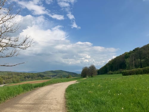 Über Inzlingen und Rührberg