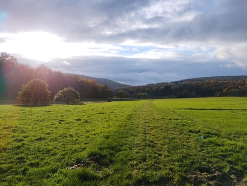 Alteburger Marktweg