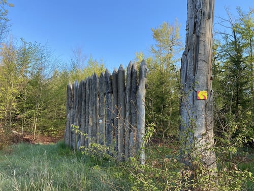 Altmühltal-Panoramaweg Etappe 9: Walting - Kipfenberg