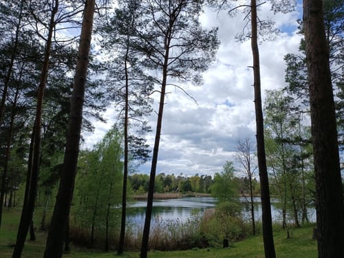 Rund um den Schlosssee Emmerichshofen