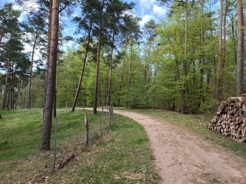 Rund um den Schlosssee Emmerichshofen