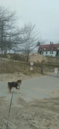 are dogs allowed at point betsie