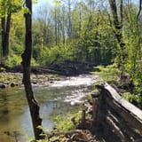 Butter Gap to Cat Gap Trail , North Carolina - 474 Reviews, Map | AllTrails