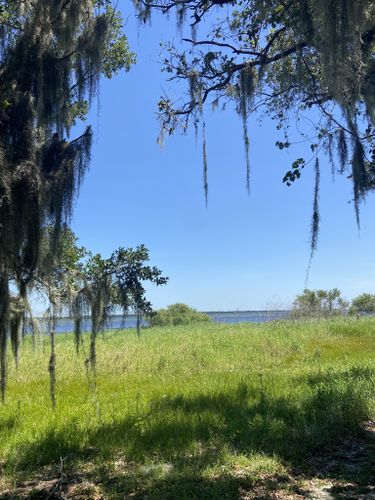 Best Hikes and Trails in Lake Kissimmee State Park | AllTrails