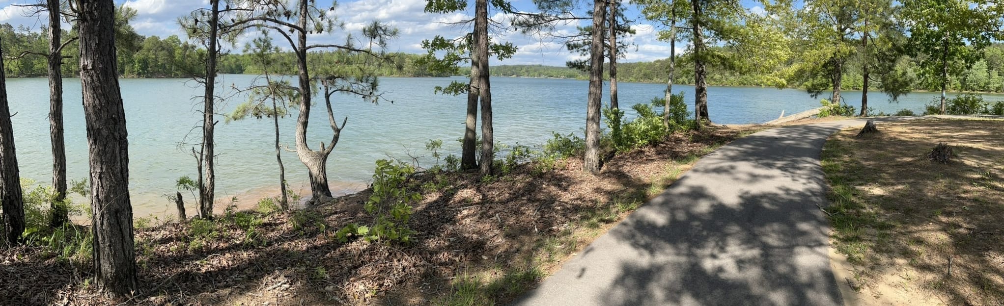 Clear Creek Bicycle Trail Alabama - EyJidWNrZXQiOiJhc3NldHMuYWxsdHJhaWxzLmNvbSIsImtleSI6InVwbG9hZHMvcGhvdG8vaW1hZ2UvNTkwODU5MTQvMmY1MWQyYTg0N2U3MjQ3MGExYzZkNDUxZGVkNTkzYTcuanBnIiwiZWRpdHMiOnsidG9Gb3JtYXQiOiJqcGVnIiwicmVzaXplIjp7IndpZHRoIjoyMDQ0LCJoZWlnaHQiOjYyNCwiZml0IjoiY292ZXIifSwicm90YXRlIjpudWxsLCJqcGVnIjp7InRyZWxsaXNRdWFudGlzYXRpb24iOnRydWUsIm92ZXJzaG9vdERlcmluZ2luZyI6dHJ1ZSwib3B0aW1pc2VTY2FucyI6dHJ1ZSwicXVhbnRpc2F0aW9uVGFibGUiOjN9fX0=