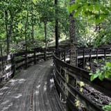 Clear Creek Bicycle Trail Alabama - EyJidWNrZXQiOiJhc3NldHMuYWxsdHJhaWxzLmNvbSIsImtleSI6InVwbG9hZHMvcGhvdG8vaW1hZ2UvNTkwODU5MjUvMDYyYjcxYWE2N2EyMWZhZDljZTk2ODRiZDY3MGVkMmEuanBnIiwiZWRpdHMiOnsidG9Gb3JtYXQiOiJqcGVnIiwicmVzaXplIjp7IndpZHRoIjoxNjAsImhlaWdodCI6MTYwLCJmaXQiOiJjb3ZlciJ9LCJyb3RhdGUiOm51bGwsImpwZWciOnsidHJlbGxpc1F1YW50aXNhdGlvbiI6dHJ1ZSwib3ZlcnNob290RGVyaW5naW5nIjp0cnVlLCJvcHRpbWlzZVNjYW5zIjp0cnVlLCJxdWFudGlzYXRpb25UYWJsZSI6M319fQ==