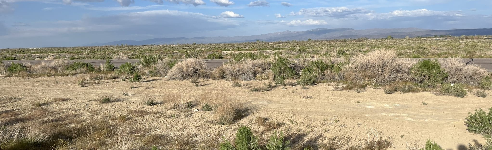 Rattlesnake Hill Loop 47 foto's Nevada AllTrails