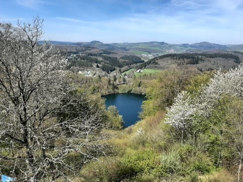 Weinfelder Maar - Mäuseberg - Schalkenmehrener Maar