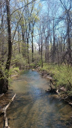 Best Hikes and Trails in Coffee Creek Watershed Preserve | AllTrails