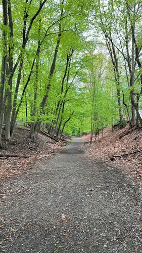 Best Hikes and Trails in Essex County Park | AllTrails