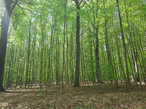Hinsbeck : A5 Glabbacher Bruch