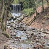 Tinker Falls Trail, New York - 492 Reviews, Map | AllTrails