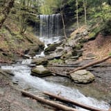 Tinker Falls Trail, New York - 492 Reviews, Map | AllTrails