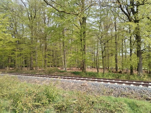 Nordpfad Kuhbach-Oste