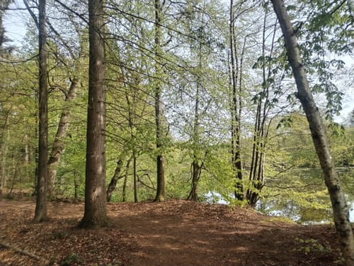 Nordpfad Kuhbach-Oste