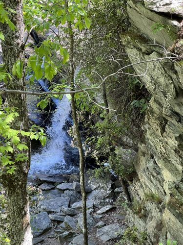 Best 10 Hikes and Trails in Cheaha Wilderness | AllTrails