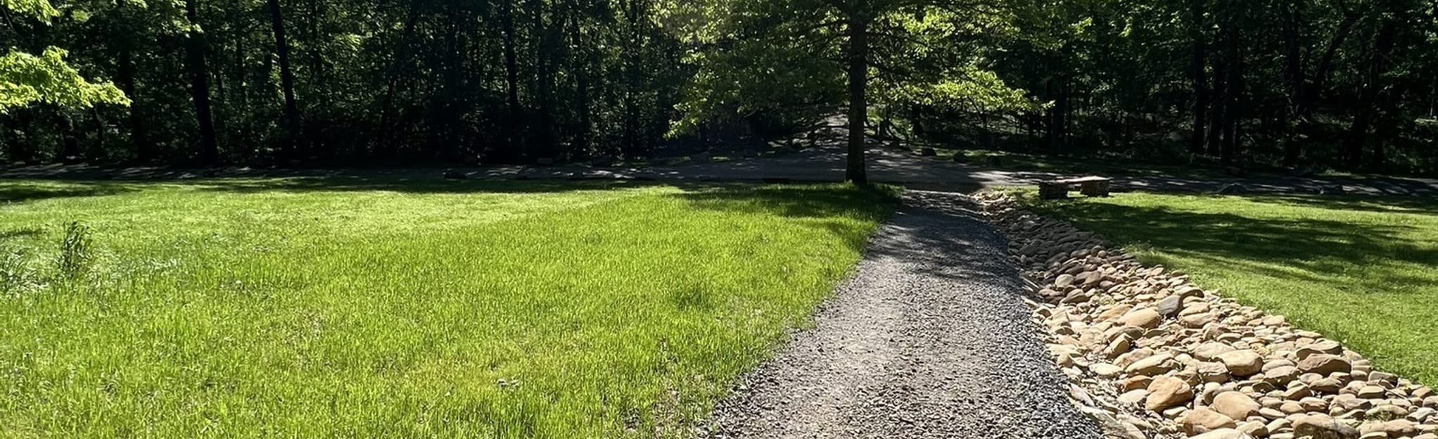 Mossy Ridge Trail Loop: 370 Reviews, Map - Tennessee | AllTrails