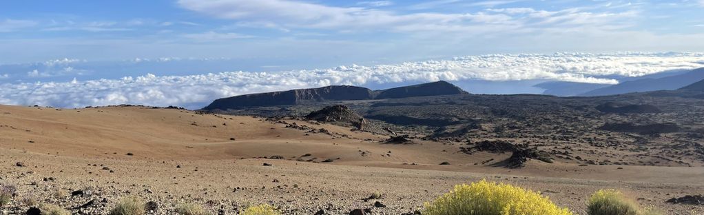 dramatiker øje Røg Montaña Blanca - Pico del Teide: 892 fotos - Tenerife, Spanien | AllTrails
