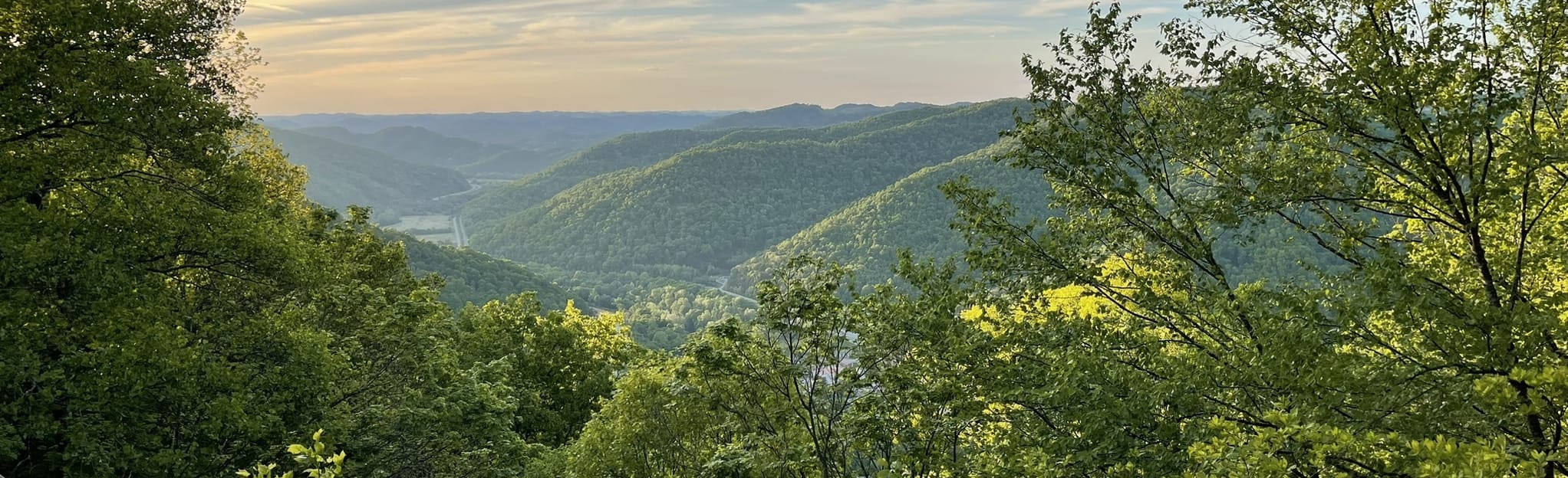 Timber Ridge Trail, Kentucky 35 Reviews, Map AllTrails