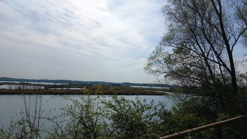 Durch den Diersfordter Wald zur Dünenlandschaft