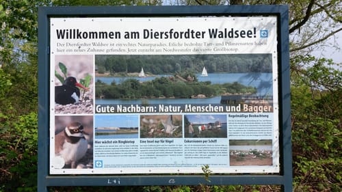 Durch den Diersfordter Wald zur Dünenlandschaft