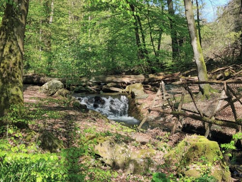 Massborn, Fuchstanz und Weiße Mauer Rundweg