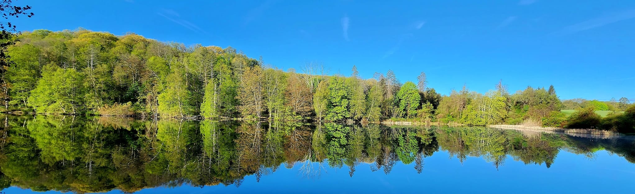 Middle Mountain to Thomas Mountain Loop, Connecticut 1,189 Reviews, Map AllTrails