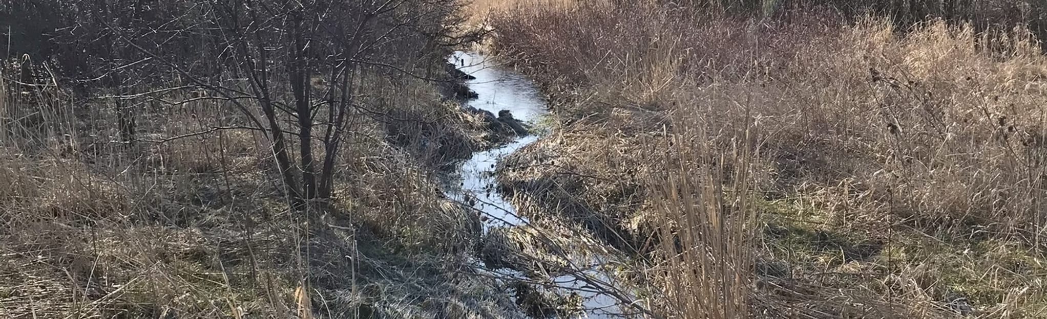 Felkers Falls to Eramosa Karst 30 Reviews, Map Ontario, Canada