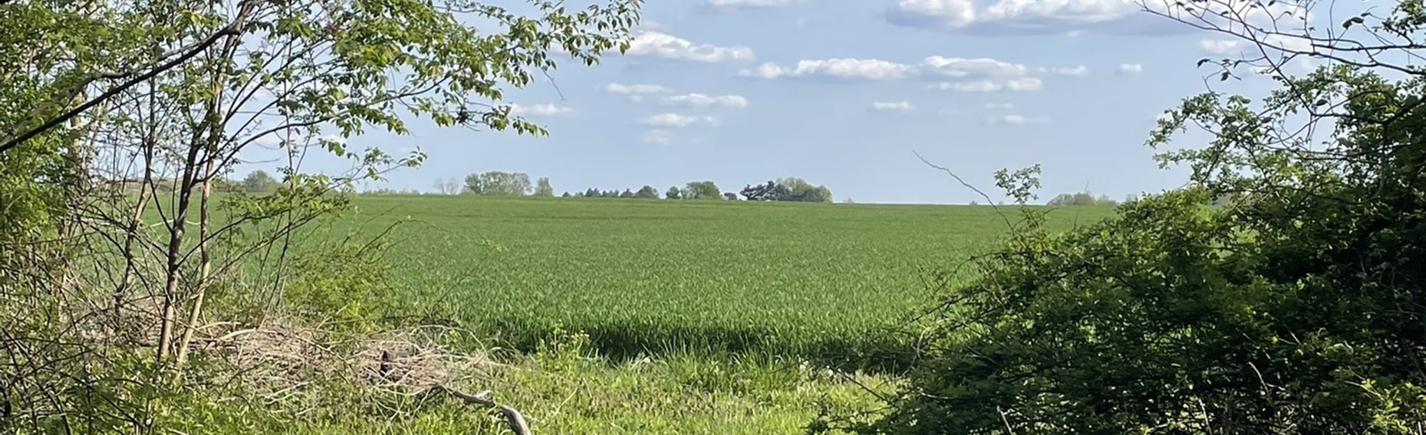 Kipton Reservation Trail 33 Reviews, Map Ohio AllTrails