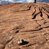 Butterfly, Lava Flow Overlook, West Canyon Road and Petrified Dunes ...