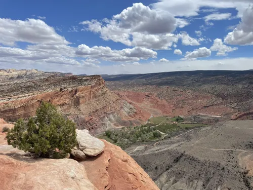 Alltrails 2025 capitol reef