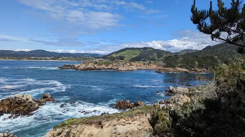 Salt Point State Park É Um Parque Estadual No Condado De Sonoma, Califórnia  É Coberto De Florestas De Pau-brasil, Tanoak, Pinheiro E Abeto, Com O  Equilíbrio Dividido Entre Prados E Florestas De