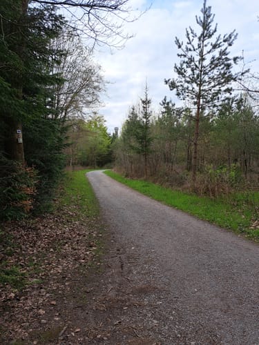 Alte Schellbronner Straße - Hohe Warte