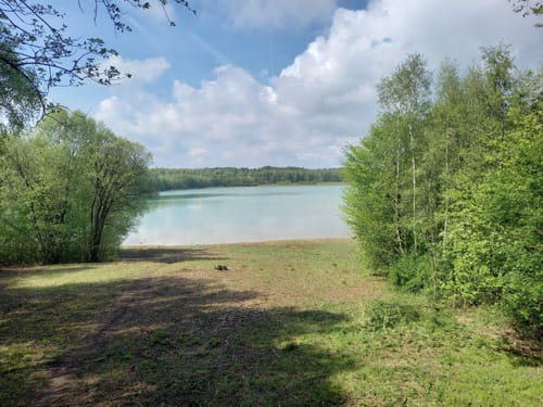 NSG Dammer Bergsee ab Stadtmuseum
