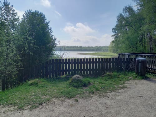 NSG Dammer Bergsee ab Stadtmuseum