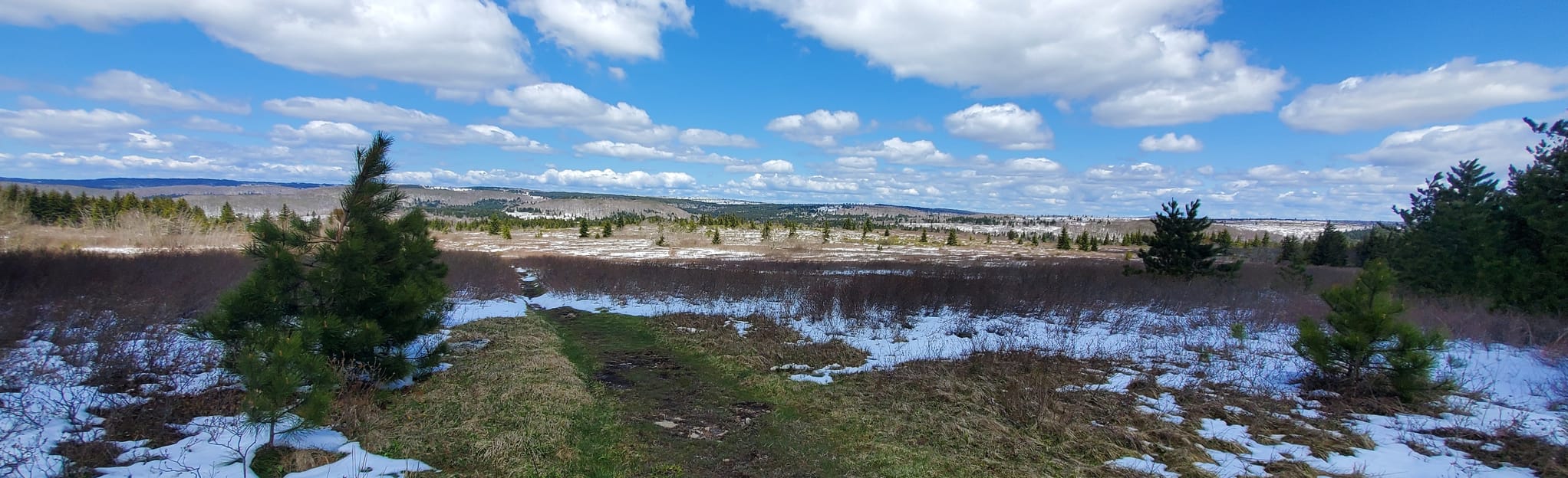 Beaver Dam Trail 95 Reviews, Map West Virginia AllTrails