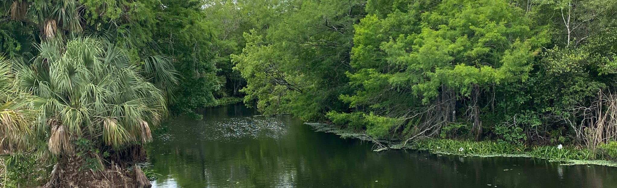 Loxahatchee River Paddle, Florida 20 Reviews, Map AllTrails