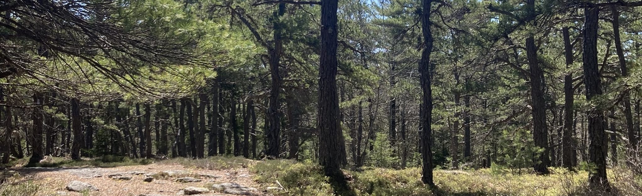 Mica Mine Trail, Maine 16 Reviews, Map AllTrails