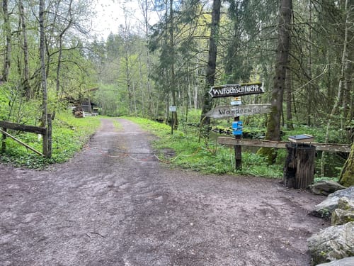 Durch die Wutachschlucht