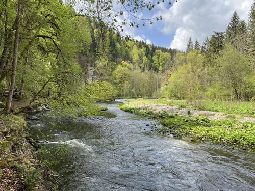 Durch die Wutachschlucht
