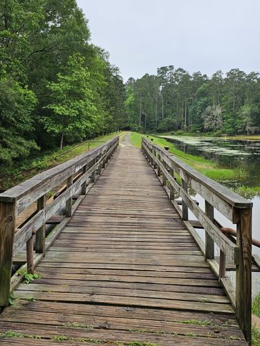 Best Hikes and Trails in Double Lake Recreation Area | AllTrails