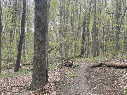 Best Hikes and Trails in Dr. T.K. Lawless Park | AllTrails